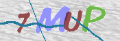 Image Anti-spam