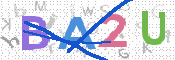 Image Anti-spam