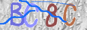 Image Anti-spam