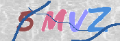 Image Anti-spam