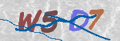 Image Anti-spam