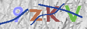 Image Anti-spam