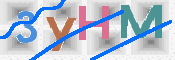 Image Anti-spam