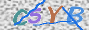 Image Anti-spam