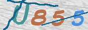 Image Anti-spam